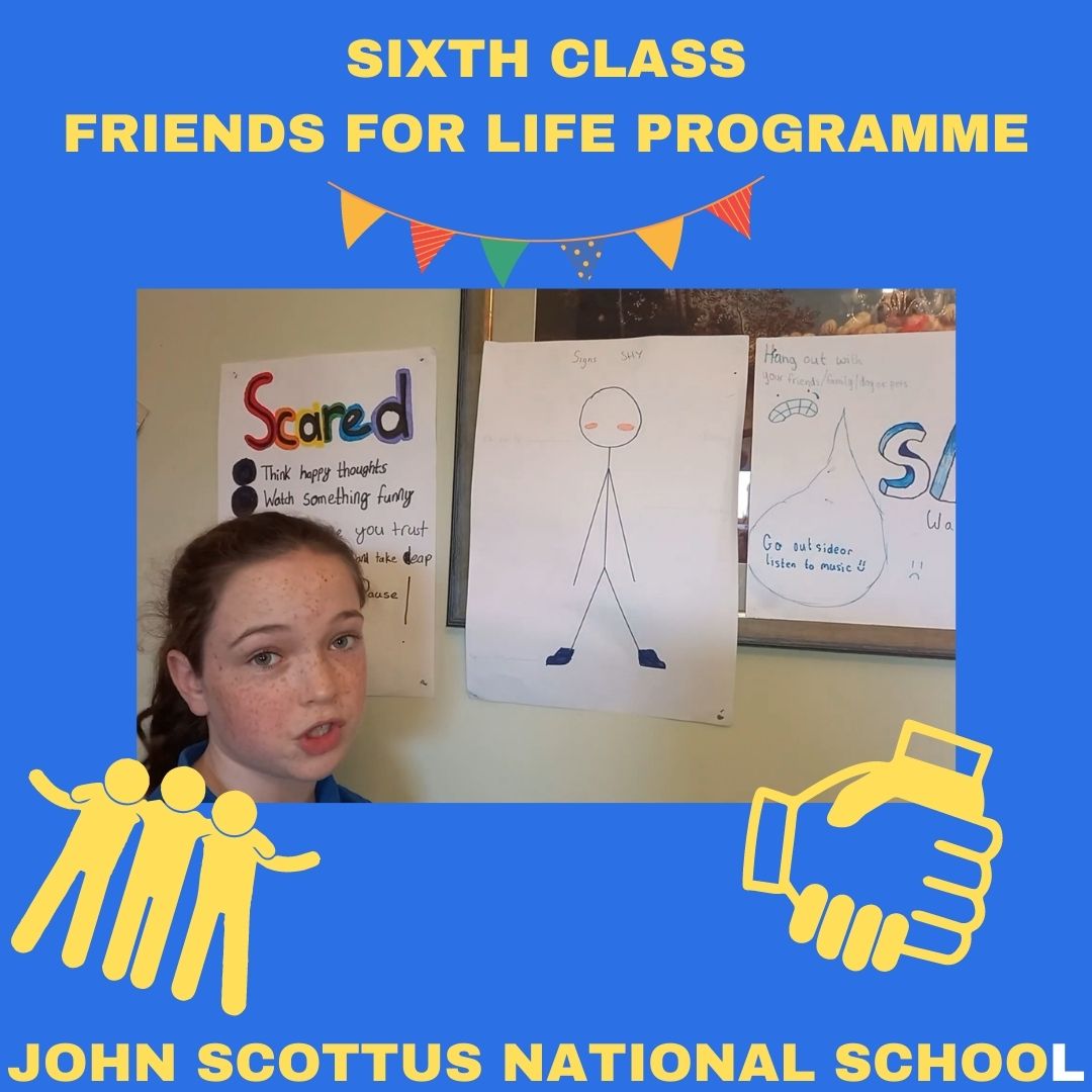 Sixth Class Friends for Life Programme - John Scottus National School