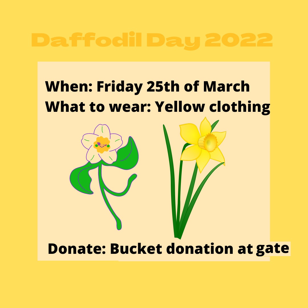 Daffodil Day! John Scottus National School